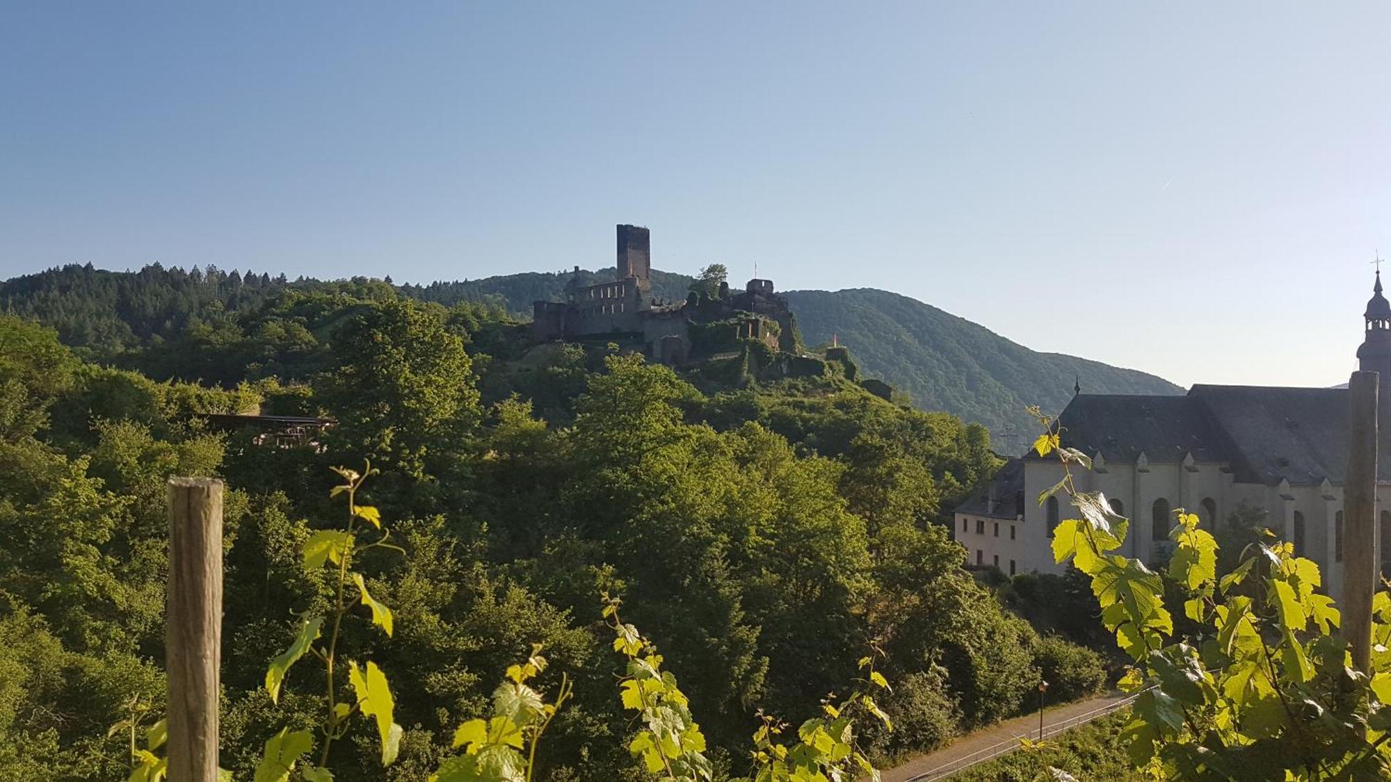Im Beilsteiner Muehlental * Beilstein (Rhineland-Palatinate)